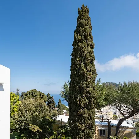 Casa Dei Sogni - Nel Cuore Di Lejlighed Capri